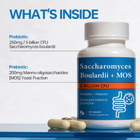 Capsules de Saccharomyces Boulardii MOS à Marque Blanche, 5 Milliards d'UFC, Probiotique Prébiotique pour la Santé Intestinale, Complément Alimentaire Digestif OEM