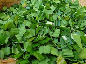 Top produit 100% poudre de feuilles de Pandan de qualité alimentaire biologique 1 kilogramme emballé sous vide dans un sac extrait de plante - Product Image 2