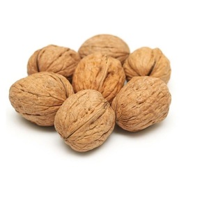 Ready for Export US Origin Grade a <b>Walnut</b> Kernels Without <b>Shell</b> Highest Quality Healthy Organic Dried Bulk Dutched - Product Image 3