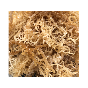 อิริชมอสแห้งออร์แกนิก / สาหร่าย Cottonii / สาหร่าย Eucheuma Cottonii - Product Image 1