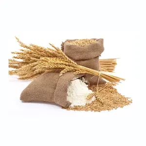 Harina de Gluten de Trigo Orgánica 100% Pura al por Mayor, Certificación ISO, Mejor Precio, Empaquetado a Granel en Bolsas de 25/50 kg para Exportación, para Panadería y Cocina - Product Image 4