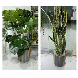 Maceta moderna de metal galvanizado diseñada para la decoración del hogar contemporáneo que ofrece protección duradera para las plantas a largo plazo. - Product Image 2