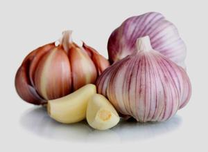 <b>Fresh</b> <b>Garlic</b> Supplier in Bulk / Normal White <b>Garlic</b>. - Product Image 2