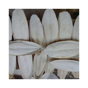 Hueso de Sepia Seco Orgánico de Alta Calidad 100% Nutritivo con Vitaminas para Alimento y Juguetes para Aves - Product Image 3