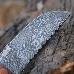 Couteau de chasse de 12 pouces en acier inoxydable fait à la main pleine soie de qualité industrielle manche en bois d'olivier bricolage couteau de Skinner fixe Camping OEM - Product Image 5