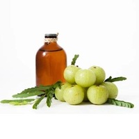 100% naturel bio Amla huile essentielle Anti-pelliculaire nourrissante 2-en-1 formule croissance des cheveux perte prévention soins du cuir chevelu privé
