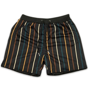 Pantalones Cortos de Playa Casuales de Verano para Hombre, con Cordón Elástico en la Cintura, Estampado a Rayas Simple, de Alta Calidad, con Logotipo Personalizado OEM - Product Image 1