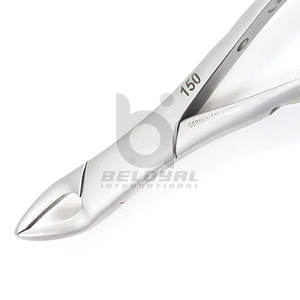 Fórceps de extracción dental anterior Instrumentos quirúrgicos Herramientas dentales de acero inoxidable Fórceps de extracción dental de acero inoxidable - Product Image 4