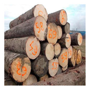 Bûches de hêtre de qualité supérieure, longueur primaire de 3 mètres, avec options de 2,5 et 4 mètres pour la production de placages et de bois d'œuvre, vente en gros disponible - Product Image 3