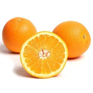 Valencia Oranges New crop of <b>Fresh</b> Navel Orange Oranges <b>fruit</b> for wholesale - Product Image 6
