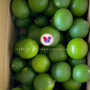 มะนาวไร้เมล็ดเกรดส่งออกจากฟาร์มเวียดนาม /ms.katty - Product Image 1