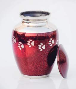 Urnes de crémation pour animaux de compagnie pour chiens et chats cendres fabriquées à la main en laiton mémoire souvenir argent gravé empreintes de pattes urne - Product Image 5