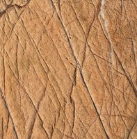 Dalles de marbre Rainforest Gold de grande taille pour comptoirs, haute résistance, design moderne, poli