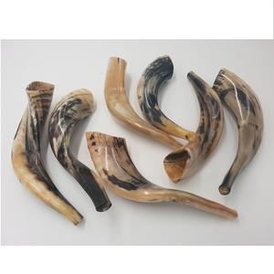 Corne de Ram Shofar Corne à usage religieux juif Cornes de Ram Shofar de meilleure qualité - Product Image 1