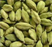 Venta al por Mayor de Semillas de Cardamomo Verde Natural Secas de Estados Unidos, 8mm, 100% Puro Natural, Bolsas de PP de 25/50kg, Venta a Granel a Nivel Mundial