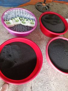 Semillas de albahaca con máxima capacidad de hinchamiento y gran pureza ideales para la industria de bebidas embotelladas - Product Image 6