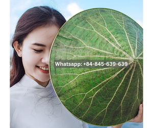 Chapeau chic et sophistiqué pour les fêtes de jardin et les occasions spéciales. - Product Image 5