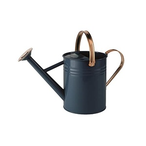 Canne à eau moderne en métal galvanisé de conception pour la décoration de plantes de jardin pour la maison et l'hôtel Canne à eau en métal pour jardinière agricole - Product Image 5