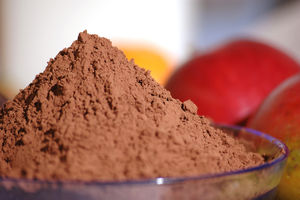 Cacao en Polvo Alcalinizado Holandés de Calidad, 10-12% de Sabor Natural, Bolsa de 25 kg, Grado Alimenticio AA - Product Image 2