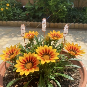 Paquete de 6 Mini Estacas para Plantas de Material EVA con Atrapasoles de Cristal Coloridos - 8 Pulgadas, para Interiores/Exteriores, para Plantas en Maceta - Product Image 1