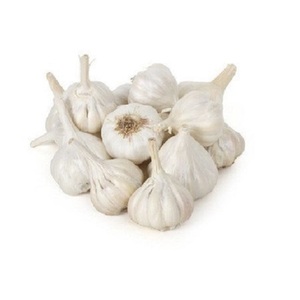 Ajo pelado blanco fresco 2025 para uso alimentario - Product Image 3