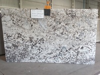 Meilleur prix d'Inde, dalles de granit blanc Alaska de qualité supérieure, comptoirs modernes, haute résistance, garantie de 2 ans, surface polie