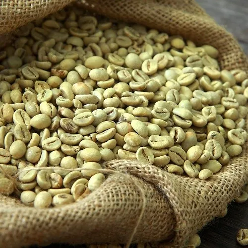 Chicchi di caffè arabica economici forniture per caffè premium chicchi di caffè arabica Akina
