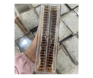 Pastel de panal crudo de Vietnam, panal de abeja salvaje de alta calidad, mejor venta a granel, precio competitivo, Exportación premium a granel para la venta - Product Image 5