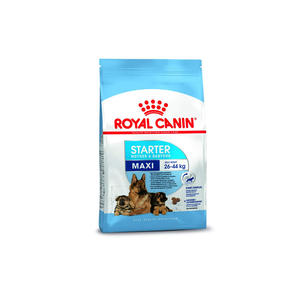 Royal Canin Hairball Care Nourriture Sèche pour Chat 2kg 4kg 7kg avec Psyllium et Fibres Végétales pour l'Élimination des Boules de Poils Commande en Gros - Product Image 1