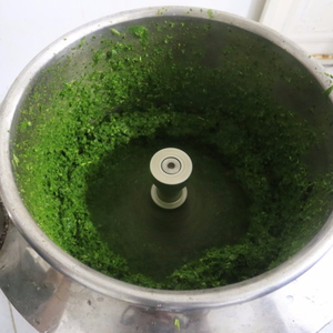 ใบมันสำปะหลังแช่แข็ง อร่อย มีคุณค่าทางโภชนาการ สำหรับการทำอาหารที่สะดวก คุณภาพสูง จัดส่งรวดเร็วจากเวียดนาม - Product Image 2