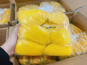 Mango tropical dulce, suave y seco de Vietnam, en rodajas masticables, suministro a granel, calidad premium, ideal para mayoristas - Product Image 5
