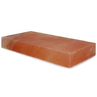 Plaque de cuisson en sel de l'Himalaya sculptée de style nautique avec support métallique, dalles de sel pour la décoration de la maison et les cadeaux