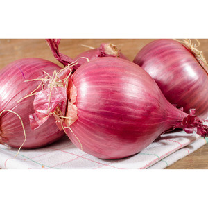 Oignon frais pelé rouge de qualité supérieure, vente en gros en vrac, qualité supérieure, usine directe, propre et frais, parfait pour les acheteurs du monde entier - Product Image 5