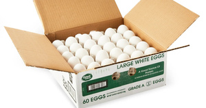 Œufs de table biologiques de qualité supérieure en gros, moyens/grands (63g), œufs blancs frais à vendre - Product Image 3