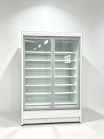 Réfrigérateur commercial à double porte vitrée pour boissons, équipement de présentation pour supermarchés, magasins de proximité et bars