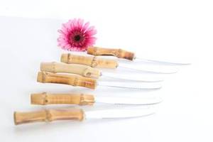 Juego de cubiertos de acero de alta calidad para restaurante, cuchillos para queso personalizados, perfectos para cenas elegantes en hoteles y hogares. - Product Image 5