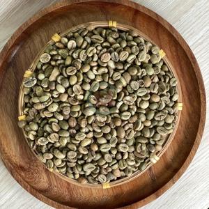 Café Robusta AA+ du Vietnam, grains de café de taille 16, haute qualité, pur et naturel, sacs en PP de 60 kg, export en vrac, fournisseur direct d'usine - Product Image 3