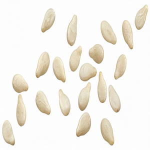 Graines de sésame naturelles de qualité supérieure |   Texture riche en huile pour une alimentation saine, emballage en vrac et forte demande internationale - Product Image 5