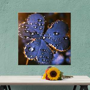 Lienzo con estampado de gotas de agua y flores modernas, decoración elegante para el hogar, lienzo envuelto en 1 pieza - Product Image 1