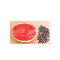 Graines de pastèque séchées de haute qualité, graines de melon jaunes et blanches fraîches, collations brutes en vrac, emballées en provenance d'Autriche