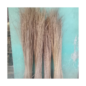 BÂTON DE BALAI DE NOIX DE COCO APPROVISIONNEMENT EN VRAC-EXPORTATION DIRECTE D'USINE du VIETNAM avec QUALITÉ DURABLE et DEMANDE DU MARCHÉ CHAUD par 99 GD - Product Image 3