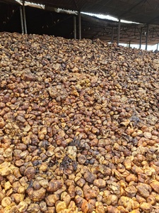 Quality Brown Molding <b>Rubber</b> Cup Lumps with DRC 65%-75% - Product Image 6
