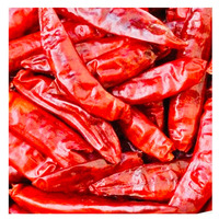 Piments rouges séchés bruts de haute qualité en gros, transformés par lyophilisation, fournisseur fiable PRISTINE WORLDWIDE 1kg Maharashtra