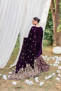 Chal Étnico de Terciopelo Real Recién Lanzado, Poliéster Sólido con Bordes Bordados y Lentejuelas, Transpirable, para Invierno, para Mujer - Product Image 5