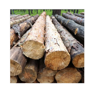 Troncos redondos de abeto al mejor precio - Product Image 4