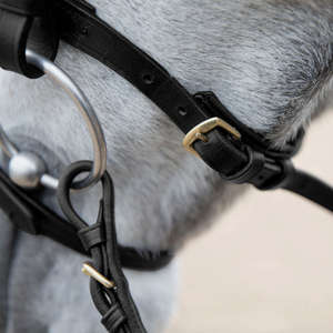 Brida de caballo de cuero genuino multicolor caliente tamaño completo venta al por mayor nueva brida de cuero de filete de caballo de alta calidad en la parte superior negra - Product Image 4