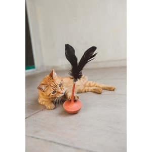 ขนนกส้มสำหรับใช้กับนก - Product Image 2