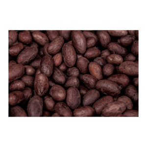 Fèves de cacao crues séchées au soleil de haute qualité, marque personnalisée allemande, fournisseurs et fabricants fiables, vente en gros, durée de conservation de 2 ans - Product Image 3