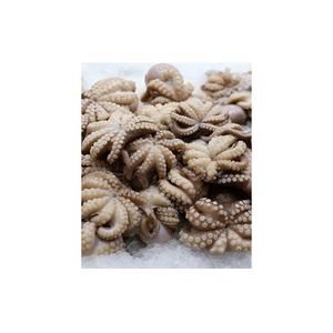 ปลาหมึกยักษ์แช่แข็งราคาถูก จำหน่ายแบบขายส่ง พร้อมจัดส่งรวดเร็ว - Product Image 3