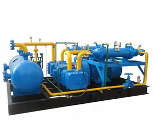 Silent Oil Free Less Oilless Direct Reciprocating Ethylene Twin-stage Compressor CO2 Compressor